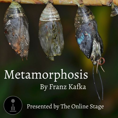 Metamorphosis