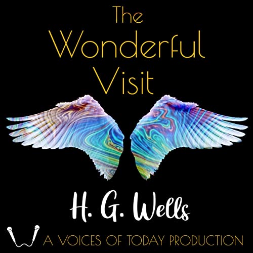 The Wonderful Visit